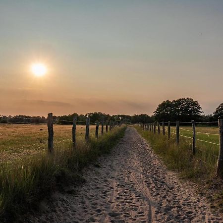 Ostsee Domizil Graal-Mueritz Exteriör bild